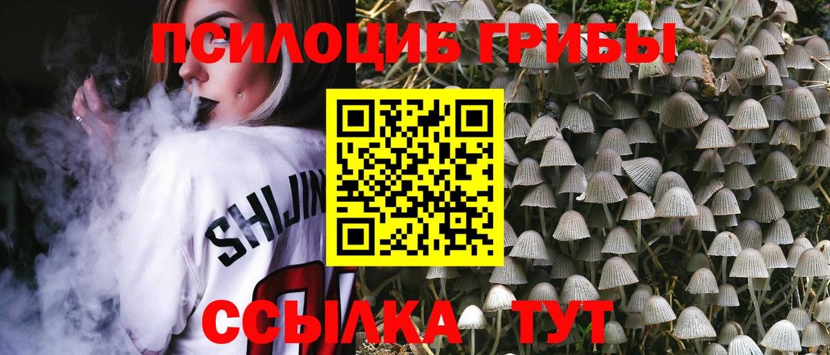 Вязники  Галлюциногенные грибы прущие грибы  Вход с VPN 